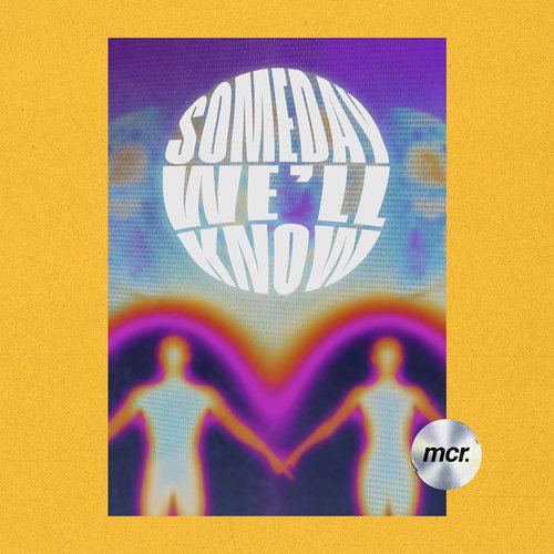 Someday We&#039;ll Know_poster_image