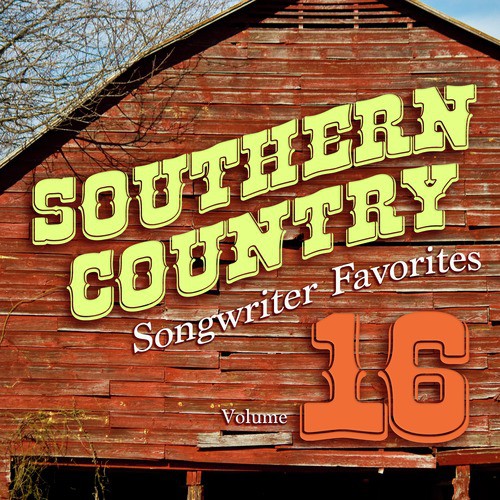 Southern Country Songwriter Favorites, Vol. 16