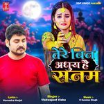 Tere Bin Adhura Hai Sanam