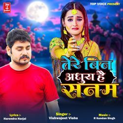 Tere Bin Adhura Hai Sanam