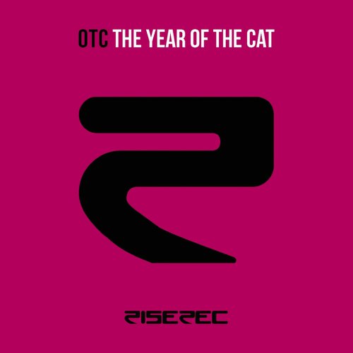 The Year of the Cat_poster_image