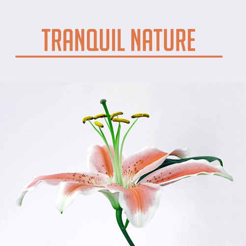 Tranquil Nature – Peaceful Music for Relaxation, Sleep, Healing, Zen Music, Deep Relief, Calmness & Harmony, Soothing Piano