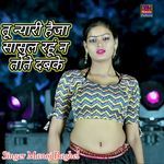 Tu Nyari Heja Sasul Rahu Naa Tote Dabke