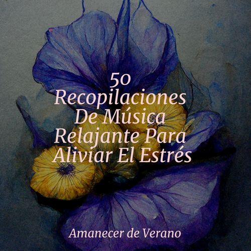 50 Recopilaciones De Música Relajante Para Aliviar El Estrés_poster_image