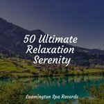Sleep Well