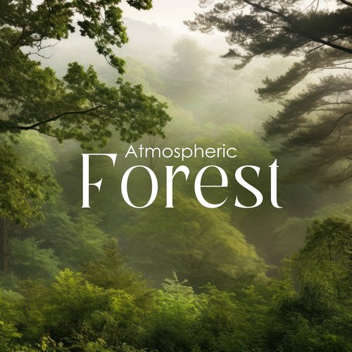 Atmospheric Forest: Music for Contemplation and Tranquility