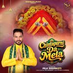 Chintapurni Da Mela