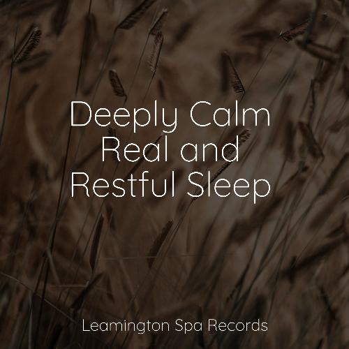 Meditating Music cover art