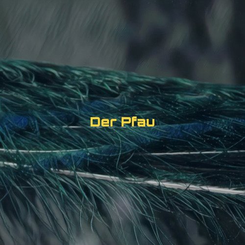 Der Pfau cover art