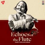 Echoes of the Flute - Raga Marwa