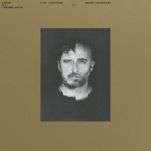 Les fauves cover art
