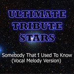 Gotye feat. Kimbra - Somebody That I Used To Know (Vocal Melody Version)