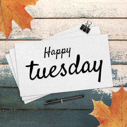 Happy Tuesday