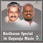 Meettatha Oru Veenai (From "Poonthottam") artwork