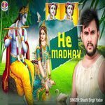 He Madhav