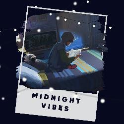 Midnight Vibes-AS47fgNpUkc