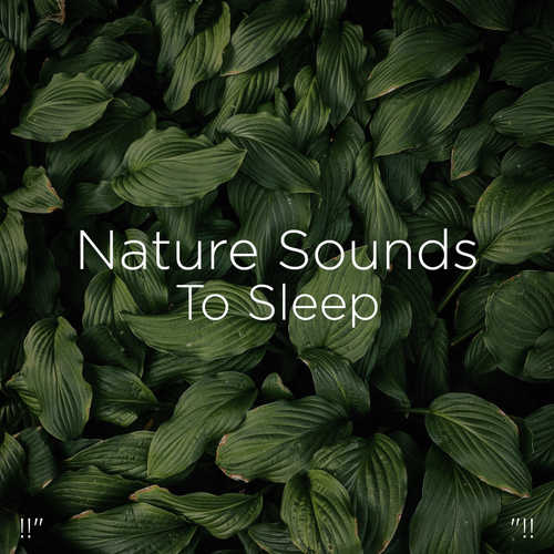 !!" Nature Sounds To Sleep "!!_poster_image