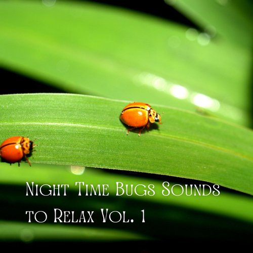 Nature's Orchestra cover art