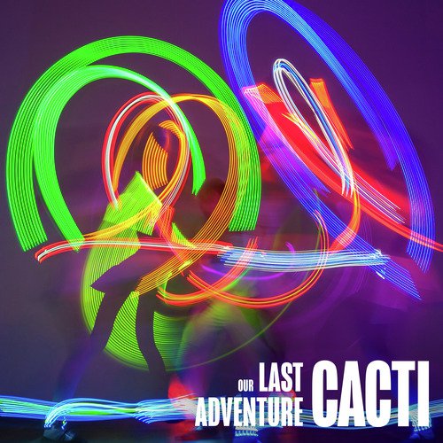 Our Last Adventure_poster_image