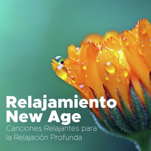 Relajamiento New Age - Canciones Relajantes para la Relajación Profunda