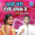 Saree Meri Aisi Chamak Hai