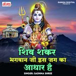 Shiv Shankar Bhagwan Ji Is Jag Ka Aadhar Hai