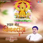 Shyam Mera Jeevandata