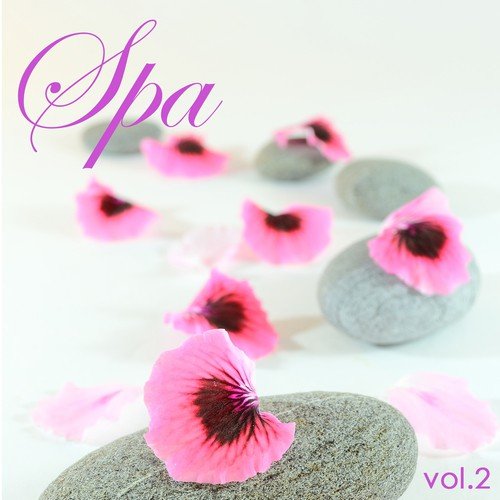 Spa Music, Vol. 2: Soothing Music Relaxing Sounds, Relaxation Meditation Peaceful Music With Sounds of Nature for Massage & Relax, Reiki & Yoga