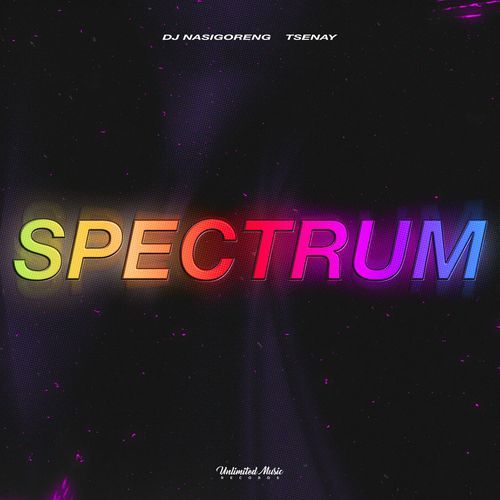 Spectrum (Say My Name)