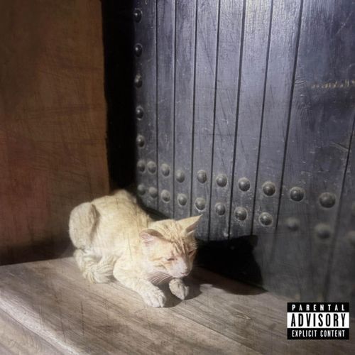 Soundwaves cover art