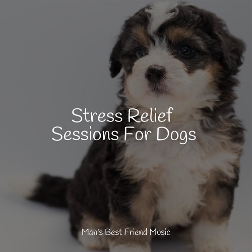 Meditating Music cover art