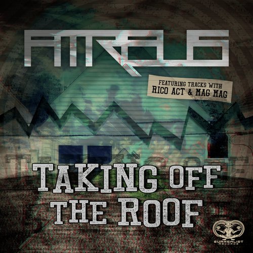 Taking Off The Roof_poster_image