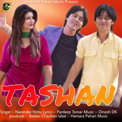 Tashan-AV4PYgxBdXI