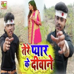 Tere Pyar Ke Dewane-CD4Bfy5bQnA