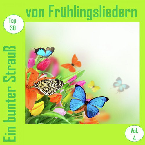 Top 30: Ein bunter Strauß von Frühlingsliedern, Vol. 4