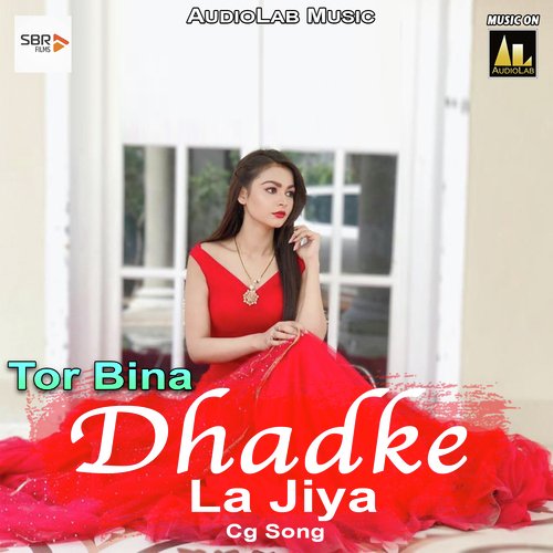 Tor Bina Dhadke La Jiya-Cg Song