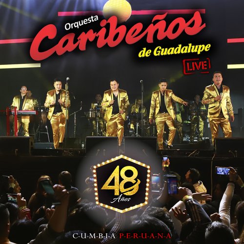 Mix Cumbia Perucha (En Vivo) cover art