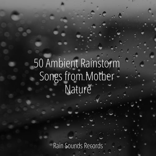 50 Ambient Rainstorm Songs from Mother Nature_poster_image