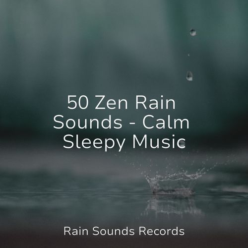 50 Zen Rain Sounds - Calm Sleepy Music