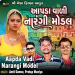 Aapda Vadi Narangi Model
