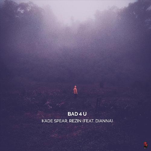 Bad 4 U (feat. Dianna)_poster_image