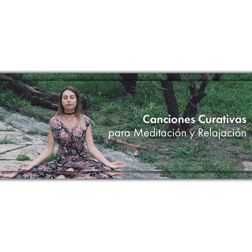 Música de Relajación cover art