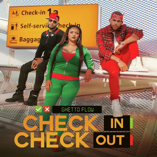 Check In Check Out_poster_image