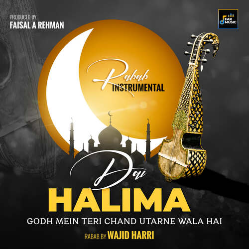 Dai Halima Godh Mein Teri Chand Utarne Wala Hai - Rabab Instrumental