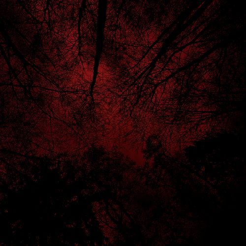Dark Age cover art