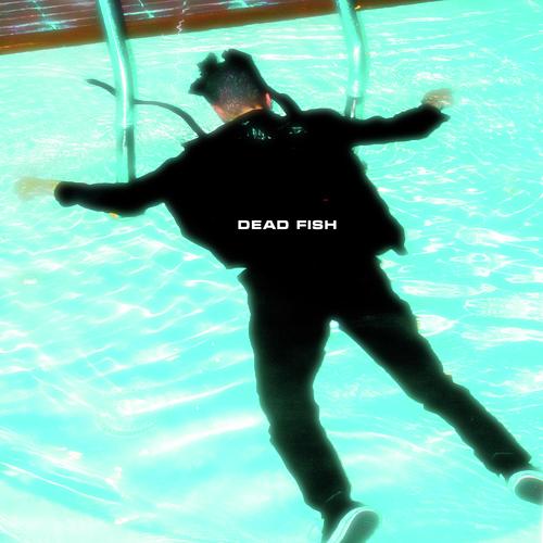 Cupid S Disease Song Download From Dead Fish Jiosaavn