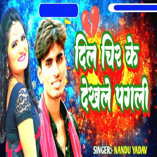 Dil Chir Ke Dekhale Pagali
