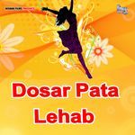 Dosar Pata Lehab