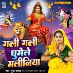 Gali Gali Ghumele Maliniya