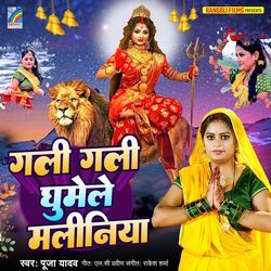 Gali Gali Ghumele Maliniya